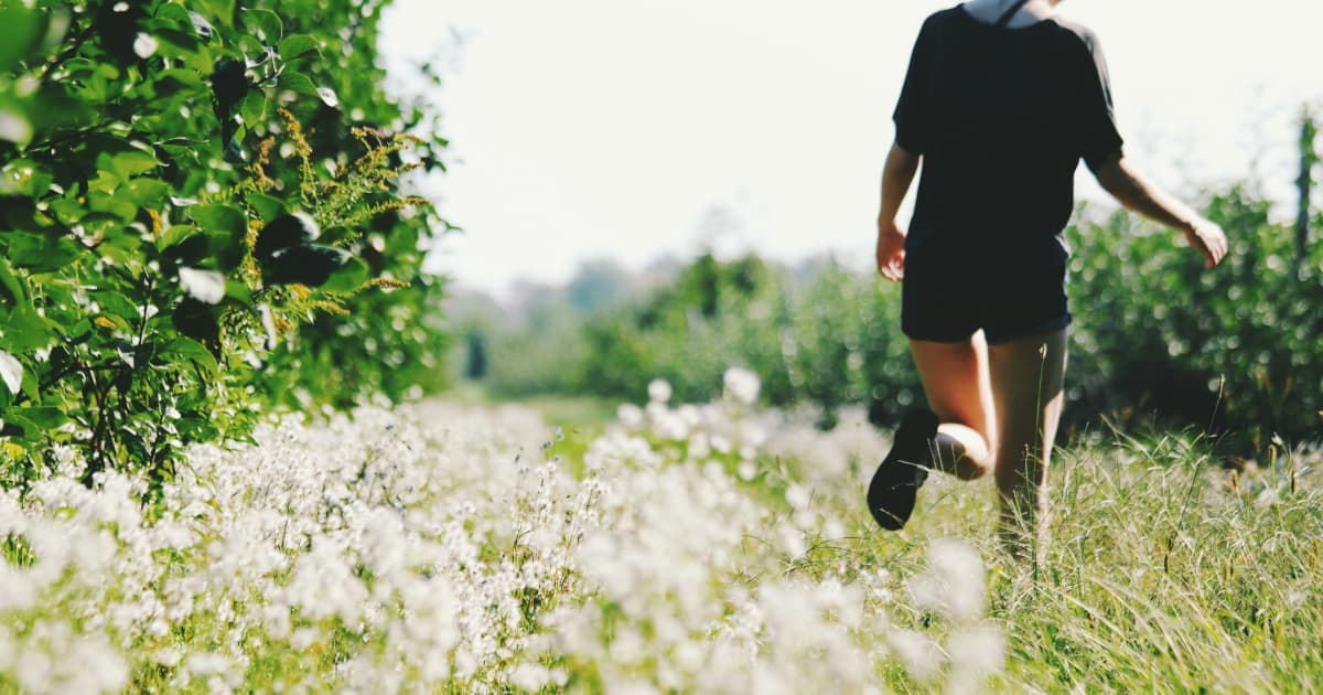 Dr. Bradley Nelsons 'The Heart Code' erreicht in der ersten Woche die USA Today-Bestsellerliste