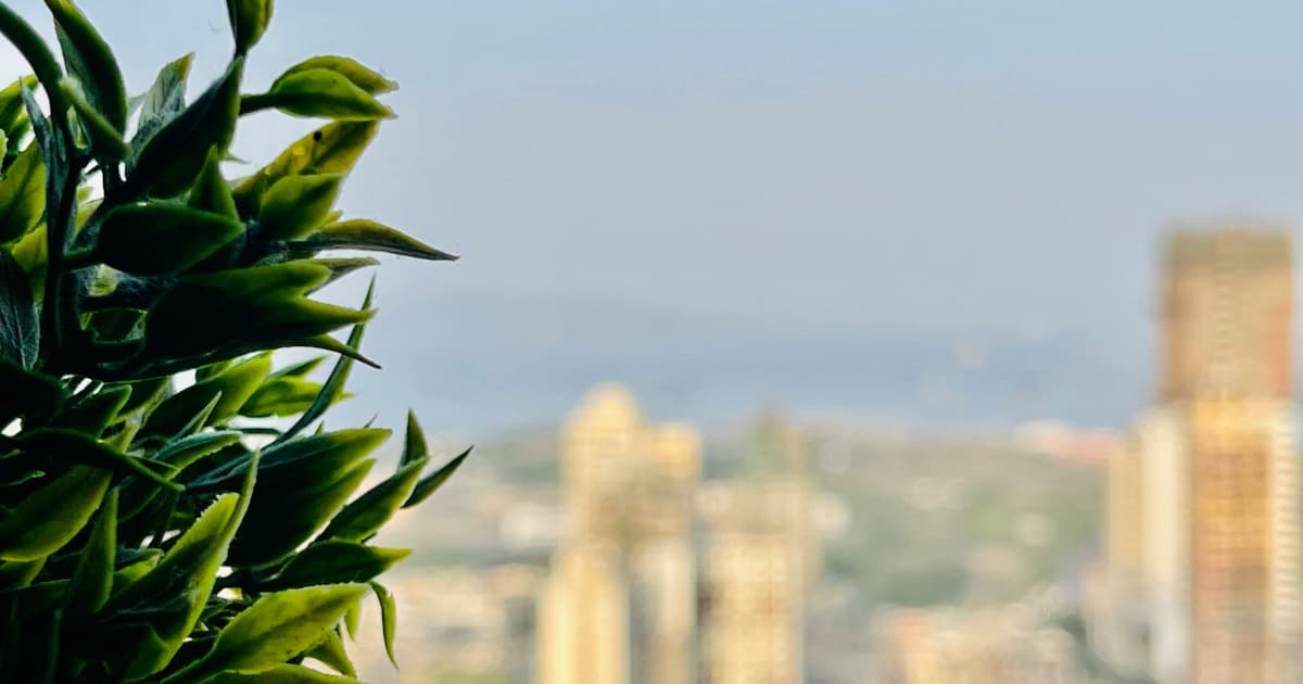 Vorgeschlagene Medicare-Erstattung für Hanfprodukte weckt Brancheninteresse im Zuge der bundesweiten Cannabis-Politikdebatte