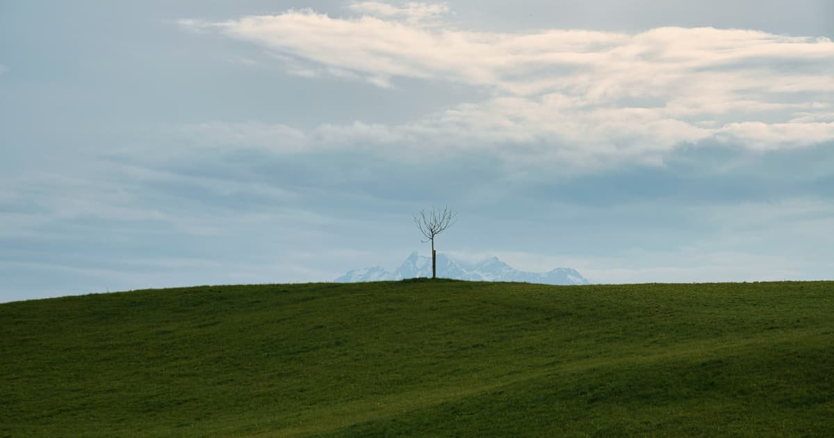 Safe and Green Holdings Corp. steht vor finalem Fusionierungsschritt und fokussiert sich auf integrierte Energieversorgung
