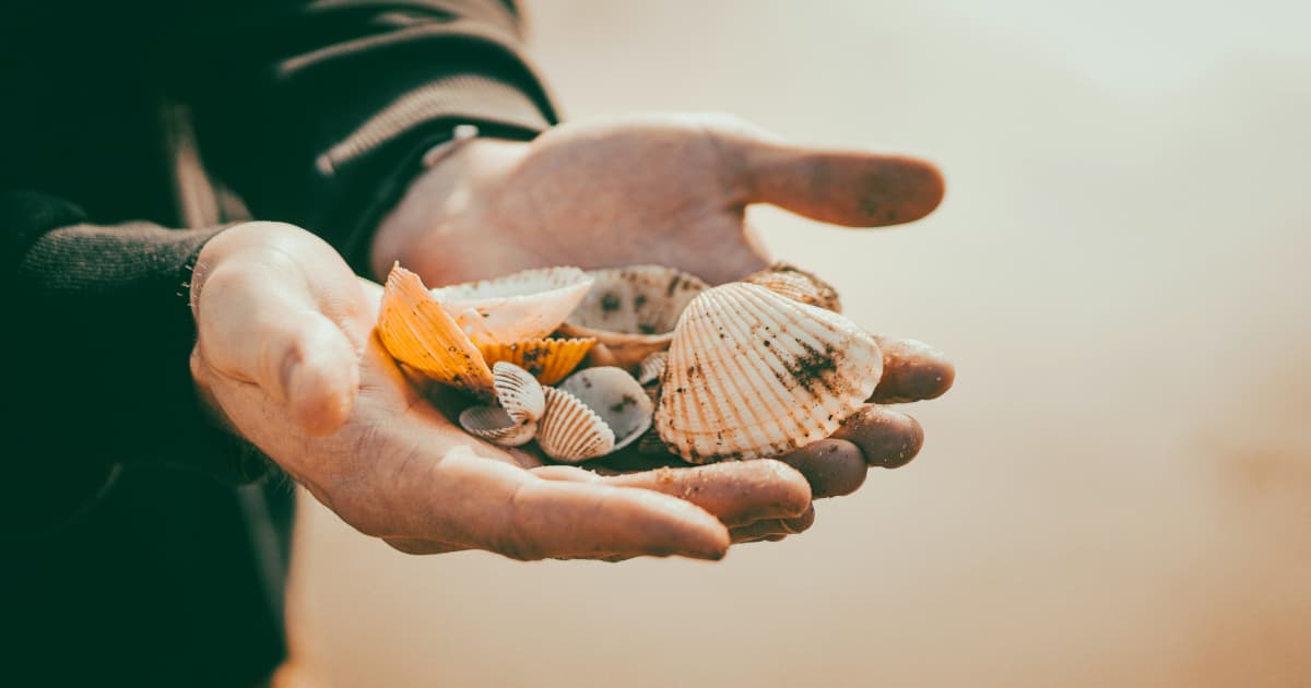 Kevin Sumlin gründet nationales Stipendienprogramm für Sportstudenten