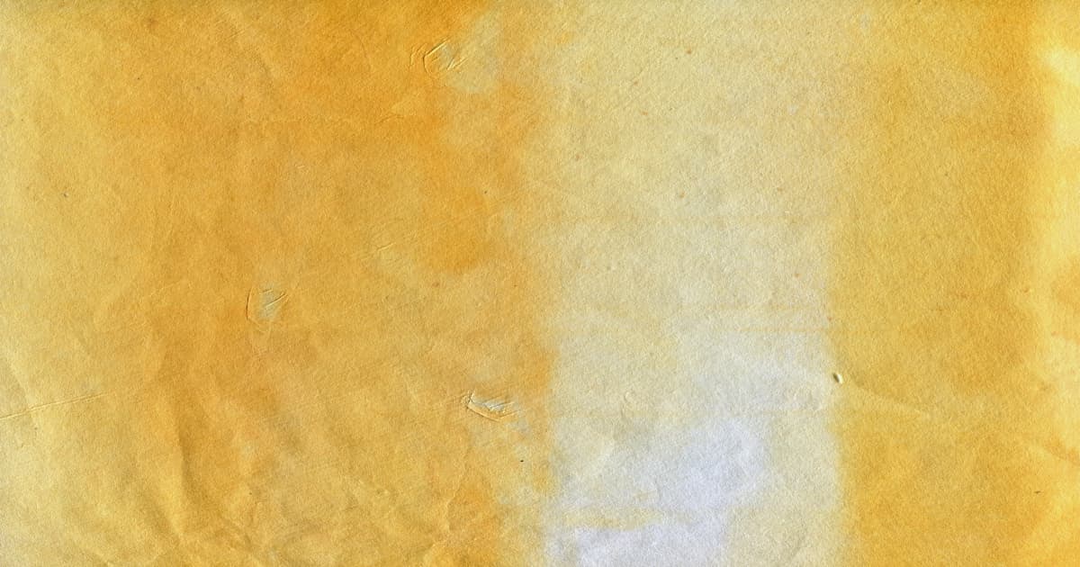 Das Martial Arts History Museum: Ein Leuchtturm der Gemeinschaft und Hoffnung im Kampf gegen Demenz