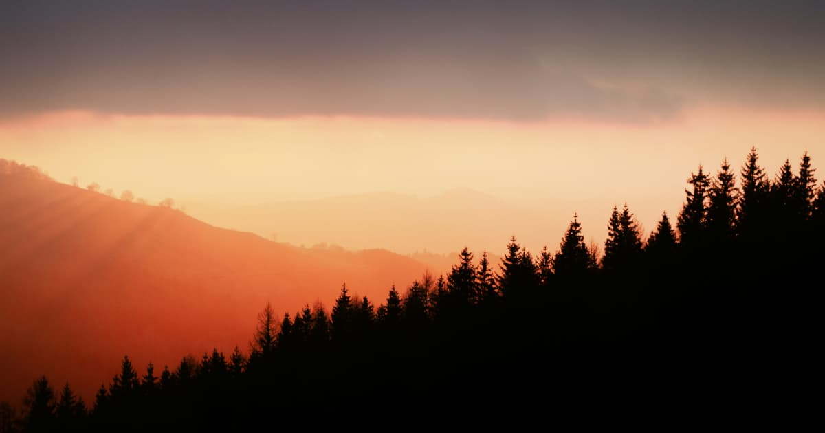 Spirituelle Heilerin Eve Wilson lädt zur globalen Bewusstseinsentwicklung ein