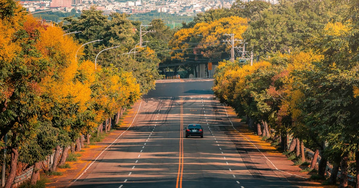 SierrAfrica Diaspora Connect kündigt 10-tägige Kulturreise nach Sierra Leone für 2026 an – Kulturelle Wurzelsuche trifft auf Wirtschaftsentwicklung