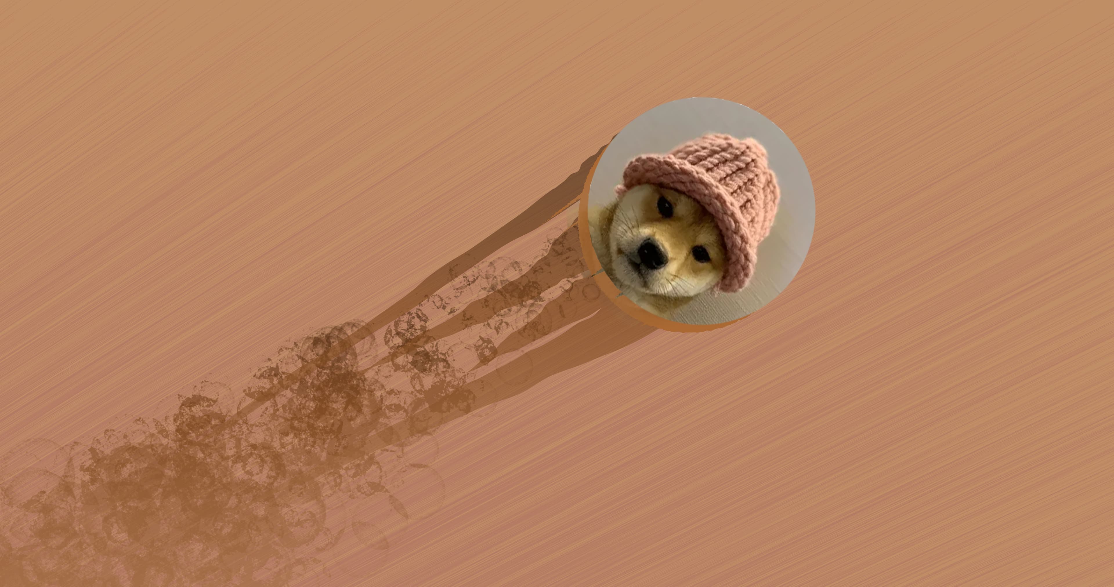 Dogwifhats Kursverlust deutet auf Wandel in der Meme-Coin-Marktdynamik hin