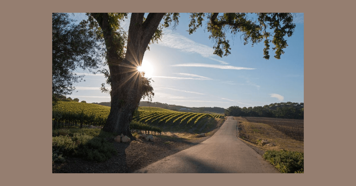 Conway Law Practice erhält Super Lawyers Rising Stars Auszeichnung und feiert bedeutende Familiengerichtserfolge in Santa Rosa