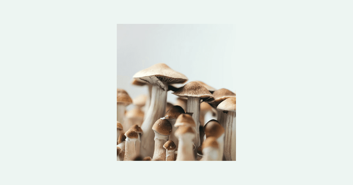 DEA leitet Petition zur Neuklassifizierung von Psilocybin an HHS zur wissenschaftlichen Überprüfung weiter