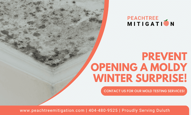 Duluther Sanierungsunternehmen fordert Hausbesitzer auf, versteckte Schimmelrisiken durch proaktive Tests anzugehen