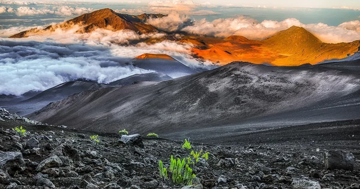 Diese Woche Hawaii feiert 60-jähriges Jubiläum mit digitalen Tracking-Tools für Werbetreibende