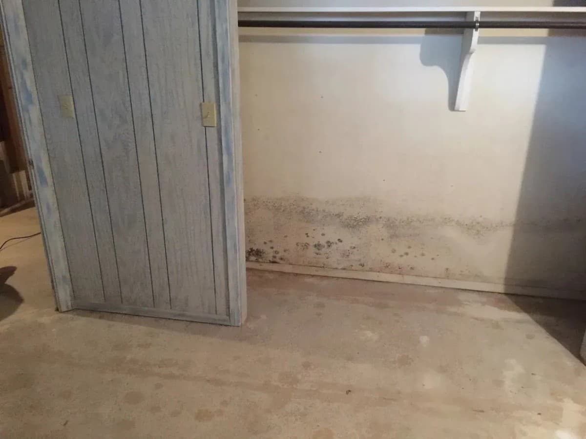 FreshCo Cleaning & Restoration erweitert Schimmelsanierungsdienste in Wichita mit strukturierter Inspektion und Luftqualitätsüberprüfung