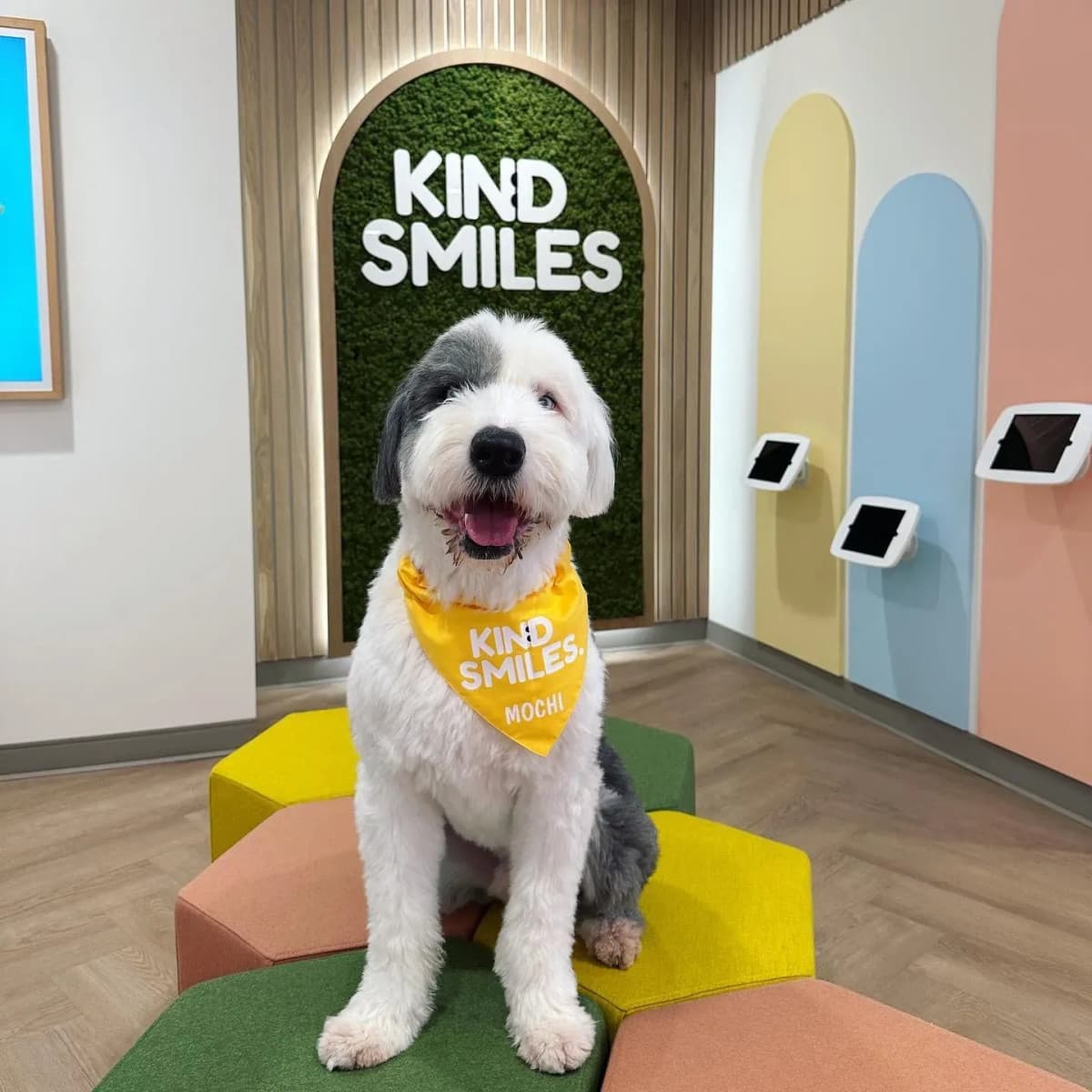 Kind Smiles Kieferorthopädie und Kinderzahnheilkunde etabliert umfassende zahnärztliche Familienbetreuung in Irvine