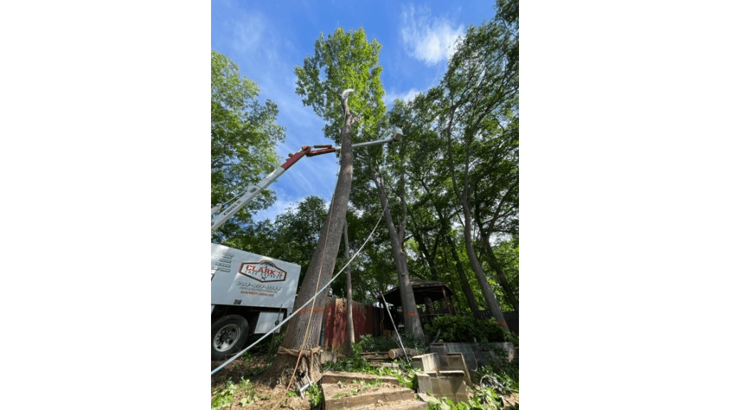 Clarks Tree Express setzt 121-Fuß-Spiderlift für verbesserte Sturmbekämpfung in North Carolina ein
