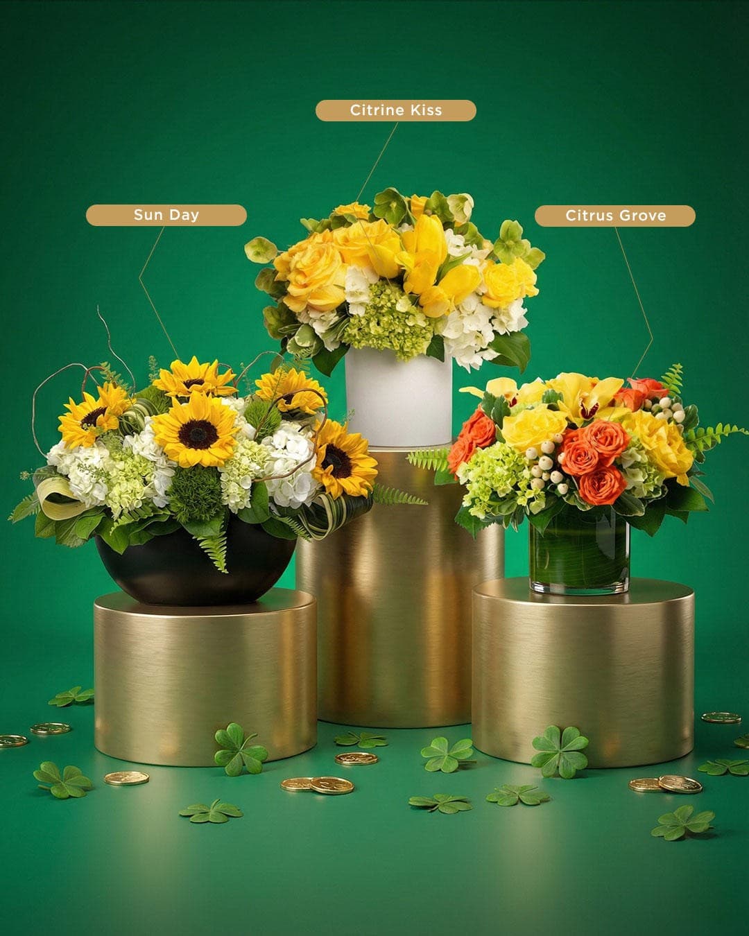 Juno Beach Florist präsentiert exklusive Orchideen-Kollektion für die Küstengemeinde