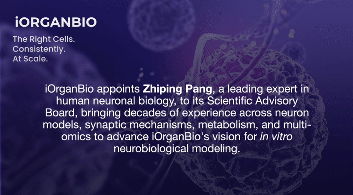 iOrganBio ernennt Neurobiologie-Experten Zhiping Pang in den wissenschaftlichen Beirat