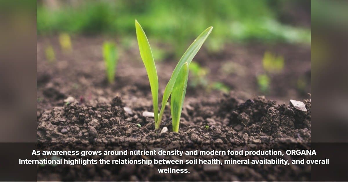 ORGANA International stellt Zusammenhang zwischen Bodengesundheit und menschlicher Ernährung heraus