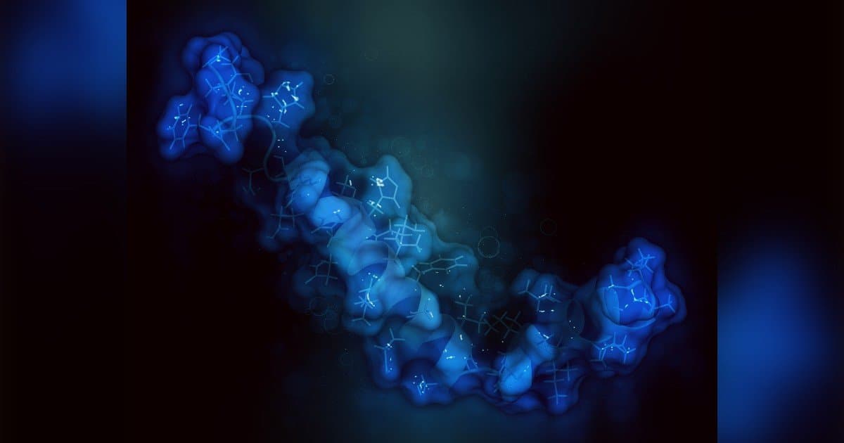 In-vitro-ADME-Studien optimieren die Arzneimittelentwicklung durch frühe Daten