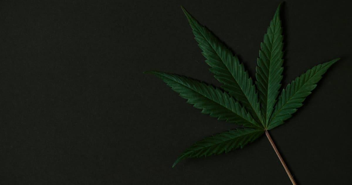 Splash Beverage Group betritt über Joint Venture mit BAAD Ventures den Markt für Hanf-basierte THC-Getränke