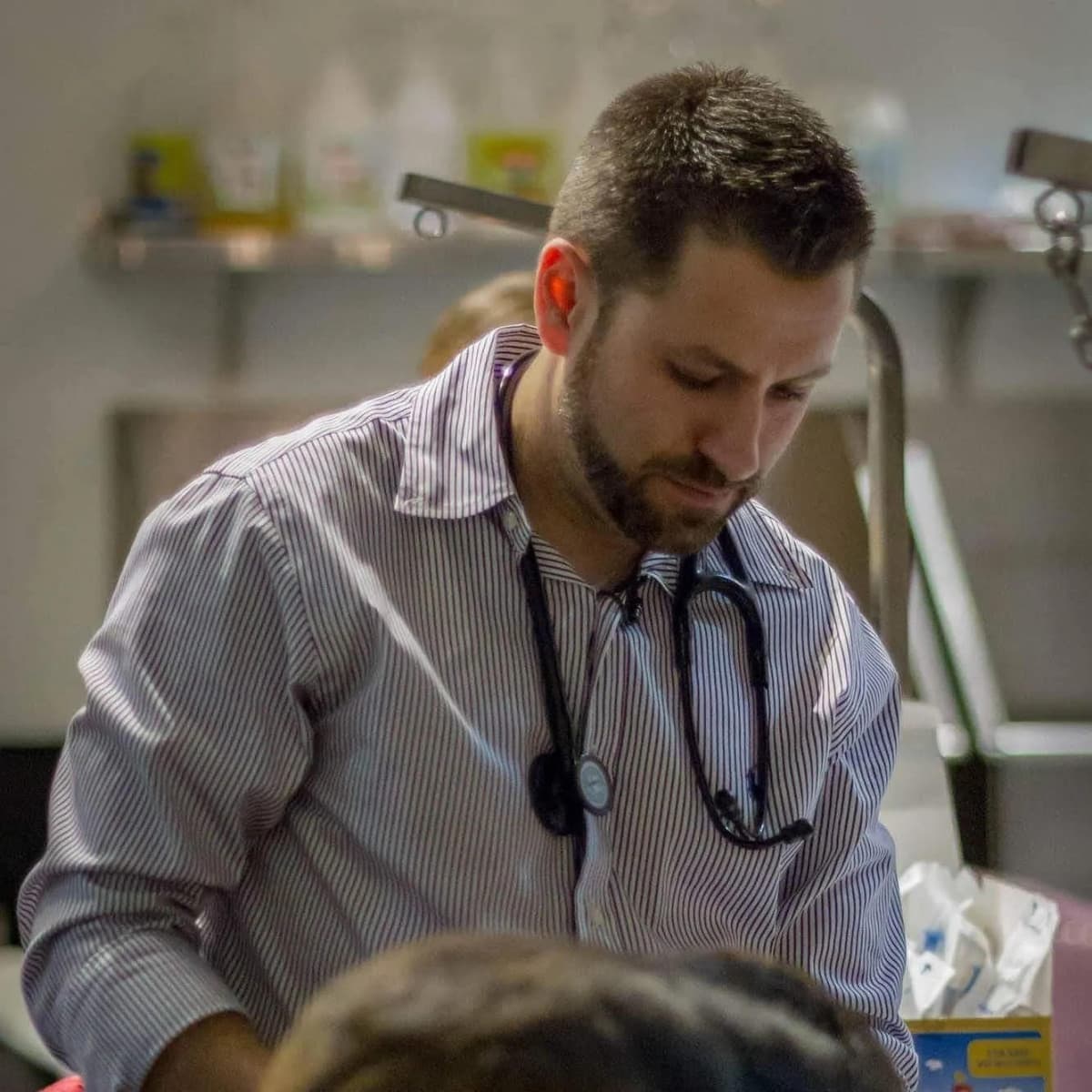 Gouverneur Newsom ernennt Dr. Steve Manyak zur California Veterinary Medical Board