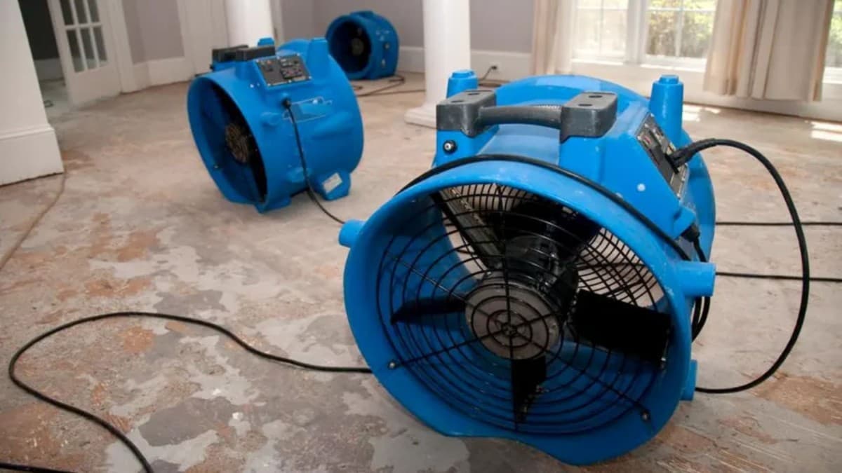 Houston Wasser Schäden Bewertungen heben 24-Stunden-Notdienst und IICRC-zertifizierte Techniker hervor