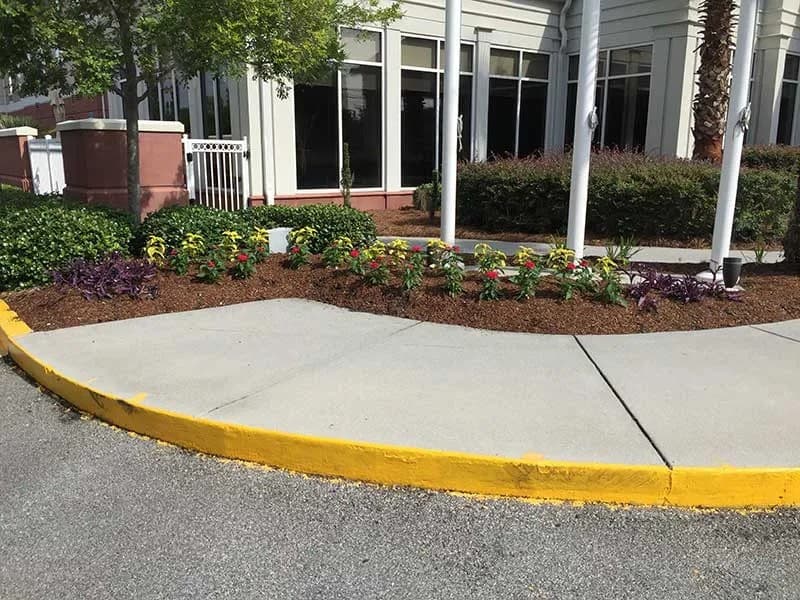 Turf Scouts feiert 15 Jahre Rasenpflege in Savannah und Isle of Hope