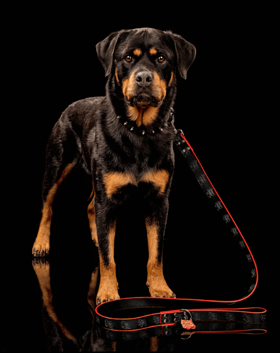 Freak On a Leash erweitert Leder-Hundezubehör für alternative Tierbesitzer