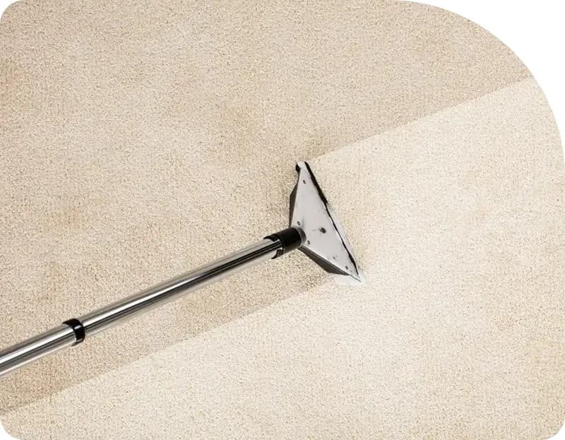 Technologische Fortschritte von Flood Squad setzen neue Maßstäbe für die Wasserschadensanierung in Sydney