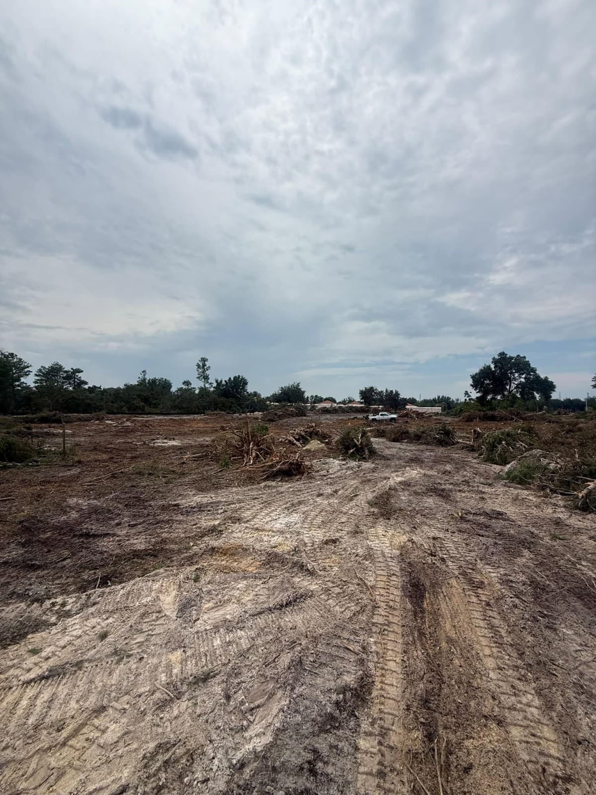 VB Tree Removal veröffentlicht umfassenden Leitfaden zu Landrodung und Forstmulchen