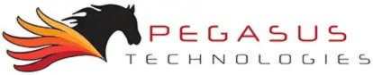 Pegasus Technologies tauscht Server-Racks gegen Golfschläger beim Turnier der Greater West Chester Chamber