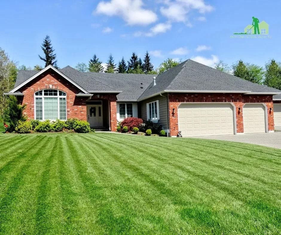 Lawn Care of Saint Johns führt haustiersichere Rasenpflegeoptionen für private und gewerbliche Kunden ein