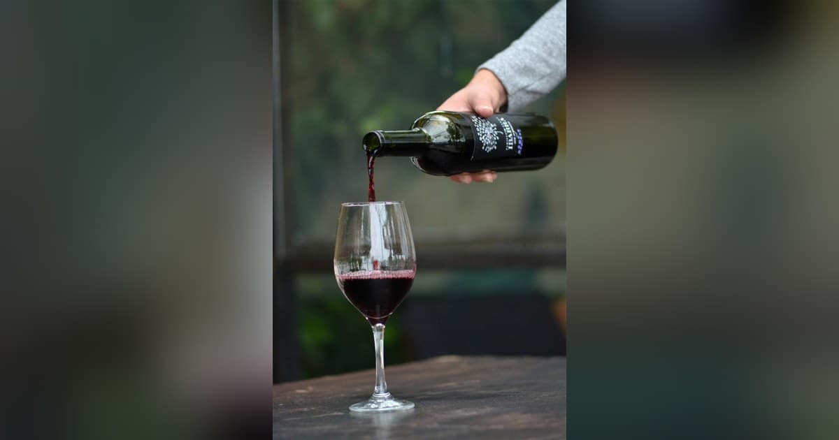 10Musica veröffentlicht aktualisierten Wein-Kalorienratgeber rechtzeitig zur Feiertagssaison