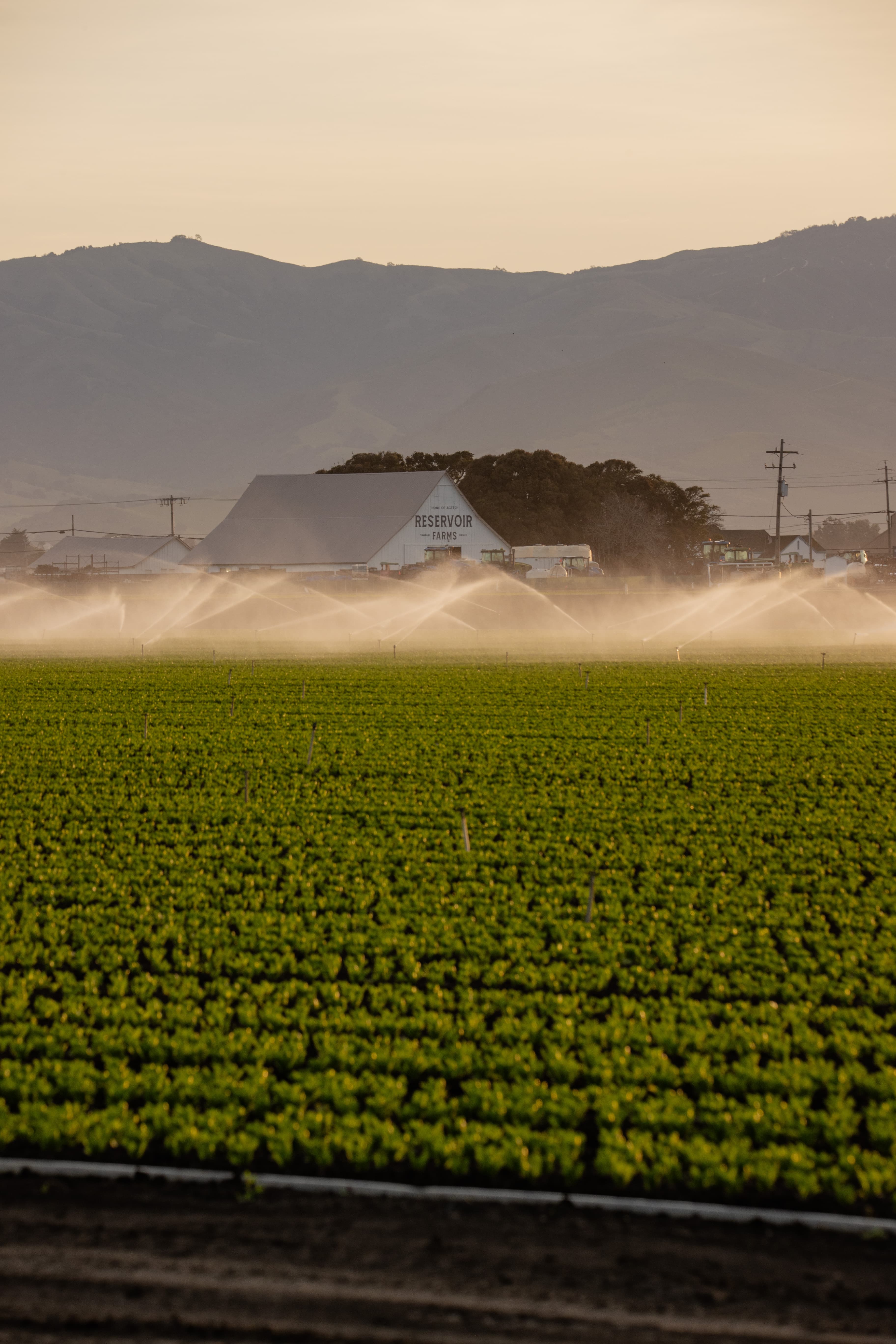 Reservoir führt kostenlose Associate-Stufe ein, um Hürden für AgTech-Innovationen zu senken
