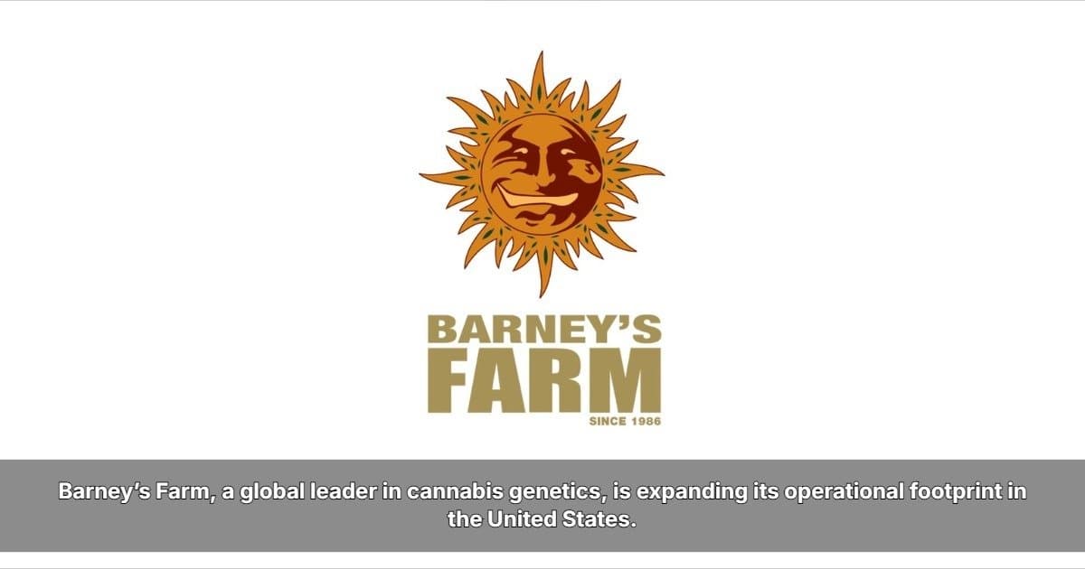 Barney's Farm belebt klassische Cannabis-Sorten für den modernen Anbau in den USA wieder